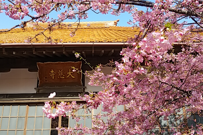 まち歩き　座禅体験