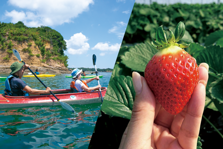 お知らせサムネイル写真