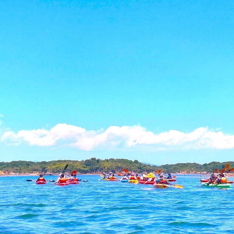 お知らせサムネイル写真