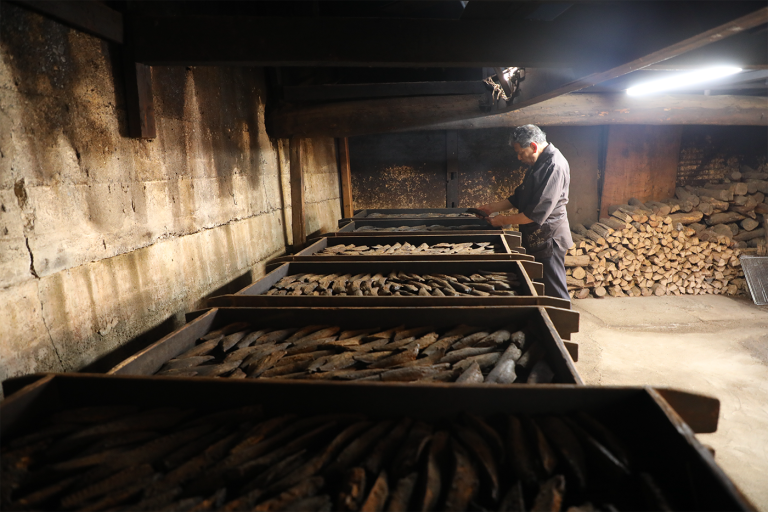 まち歩き　波切節見学