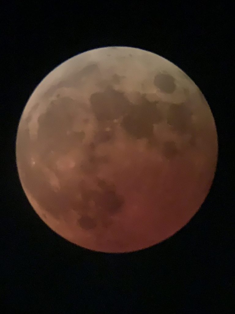 お知らせサムネイル写真