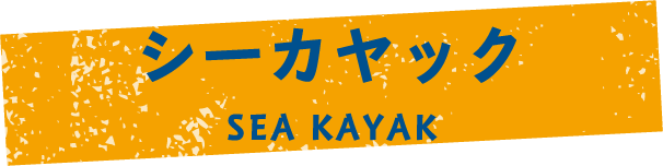 シーカヤック
