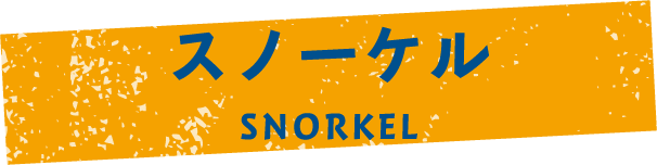 スノーケル